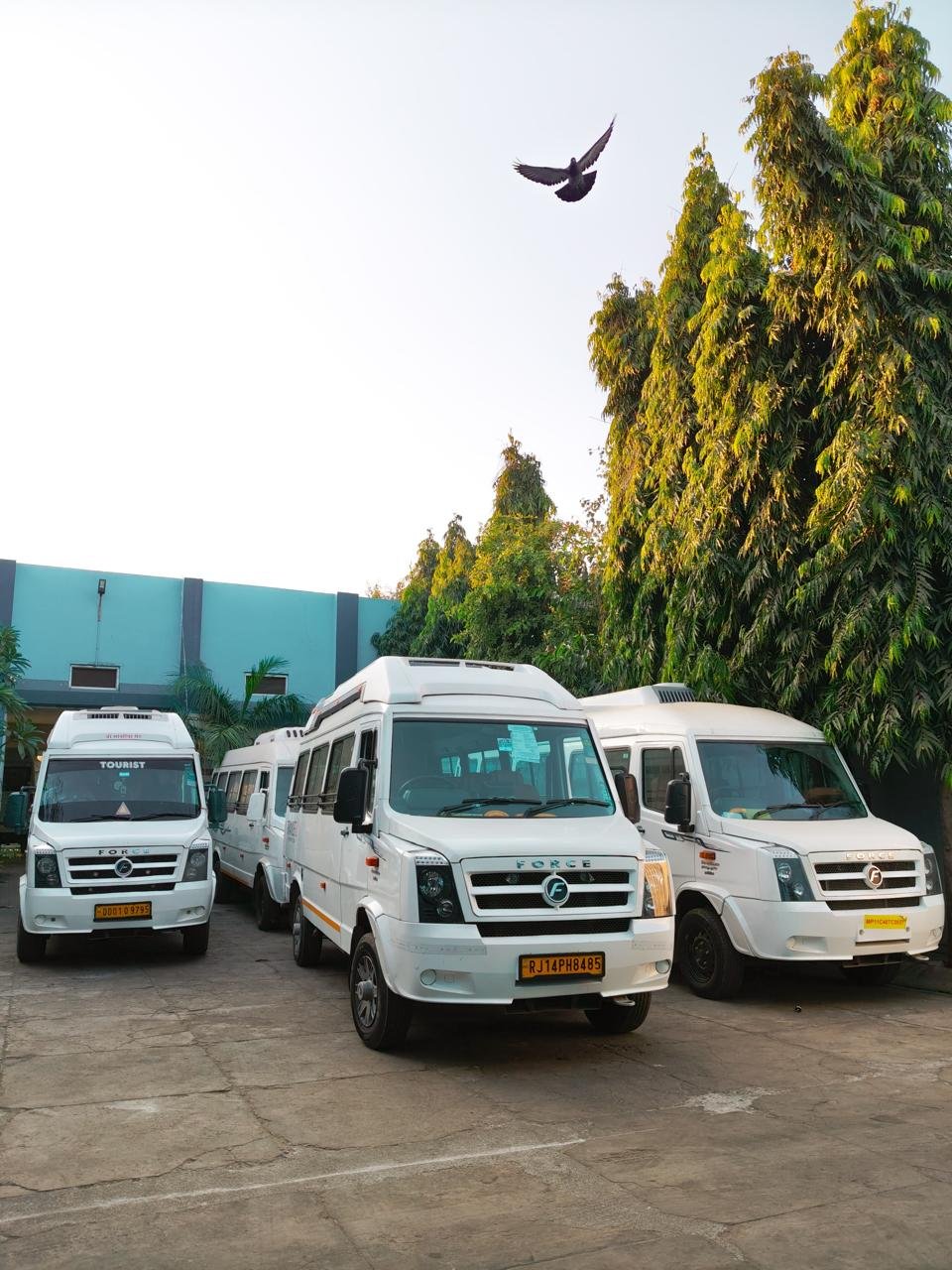 Travlefly Traveller Booking